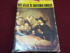 DEM THEODORESCU - MIC ATLAS DE ANATOMIA OMULUI foto