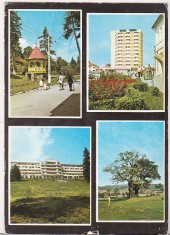 bnk cp Transilvania - Vedere - circulata - marca fixa