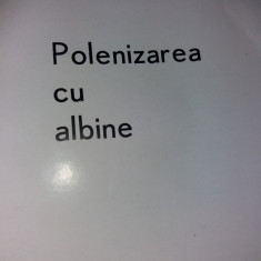POLENIZAREA CU ALBINE