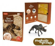 Kit excavare - Dinozaur foto