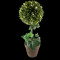 Decoratiune planta artificiala buxus, 25 LED-uri, 43 cm, de interior, Home