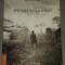 Pygmees, l&#039;esprit de la foret / Bernard Descamps