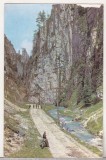 Bnk cp Cheile Dambovicioarei - Vedere - uzata, Circulata, Printata