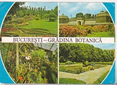 bnk cp Bucuresti - Gradina botanica - circulata - marca fixa