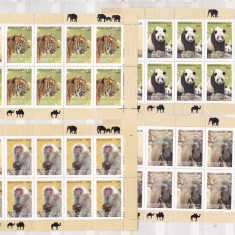 Tajikistan 2009 fauna MI 531-38 8 minicoli cu vignieta MNH w50