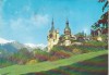 Bnk cp Sinaia - Castelul Peles - circulata, Printata