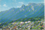 bnk cp Busteni - Vedere - circulata