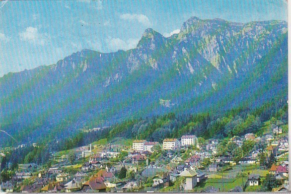 bnk cp Busteni - Vedere - circulata