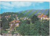 Bnk cp Sinaia - Vedere spre Cota 1400 - circulata, Printata