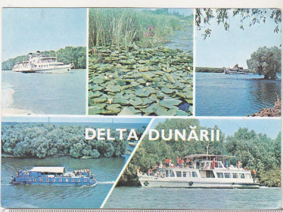 bnk cp Delta Dunarii - Vedere - circulata - marca fixa foto