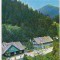 bnk cp Rodna - Valea Vinului - Vile - circulata