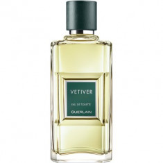 Vetiver Eau de Toilette 100ml foto