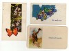 Set 3 Felicitari Liliput Craciun, Fluture, Miel - Carti Postale Tematice Mos Craciun, Verso Scris