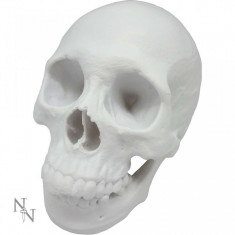 Statueta craniu Yorick 21 cm foto