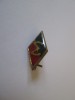 Insigna Electronica din anii 70, Romania de la 1950, Circulata, Iasi