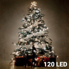 Lumini de Craciun Albe (120 LED) foto