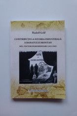 BANAT- RUDOLF GRAF, ISTORIA INDUSTRIALA A BANATULUI MONTAN 1855-1920, RESITA foto