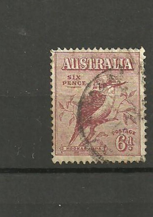 AUSTRALIA 1932 - PASARE CANTATOARE. ZOOTEHNIE, timbre stampilate, R14