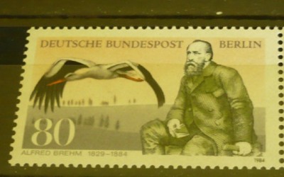 GERMANIA (BERLIN) 1984 &amp;ndash; ZOOLOG A.E.BREHM, PASARI BARZA, timbru MNH, R13 foto