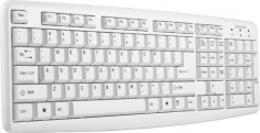 Tastatura K-1013 Activejet PS/2 white foto