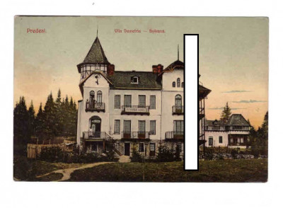 CP Predeal - Vila Demetriu-Sylvana, 1914, circulata foto