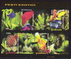 DB Romania 2005 Pesti exotici bloc + serie colt de coala cu viniete foto