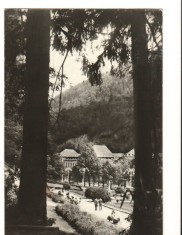 CPI B 10408 CARTE POSTALA - SLANIC-MOLDOVA