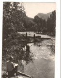 CPI B 10420 CARTE POSTALA - VEDERE DE LA LACUL ROSU, RPR, Circulata, Fotografie