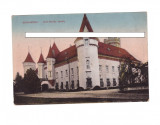 CP Carei - Castelul, 1910, necirculata, Fotografie