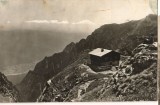 CPI B 10498 CARTE POSTALA - MUNTII BUCEGI. CABANA &quot;CARAIMAN&quot;