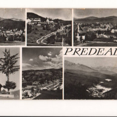 CPI B 10480 CARTE POSTALA - PREDEAL, MOZAIC, RPR