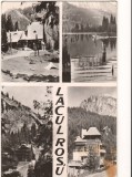 CPI B 10464 CARTE POSTALA - LACU ROSU, MOZAIC, Necirculata, Fotografie