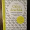 CALEA DESCHISA -PICO IYER