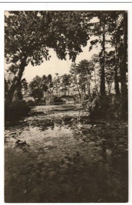 CPI B 10429 CARTE POSTALA - ORADEA. BAILE &amp;quot;1 MAI&amp;quot; foto