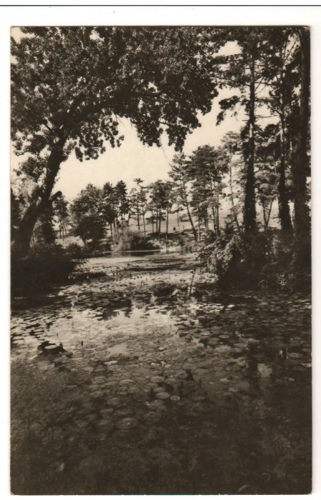 CPI B 10429 CARTE POSTALA - ORADEA. BAILE &quot;1 MAI&quot;