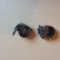 CARCASA BALAMALE Sony Vaio PCG-8131M 8152M VGN-AW11XU AW11MV AW SERIES