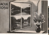 CPI B 10486 CARTE POSTALA - LACUL ROSU, MOZAIC, RPR, Circulata, Fotografie