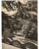 CPI B 10434 CARTE POSTALA - BAILE HERCULANE. CERNA LA IESIREA DIN STATIUNE, RPR, Necirculata, Fotografie