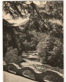 CPI B 10434 CARTE POSTALA - BAILE HERCULANE. CERNA LA IESIREA DIN STATIUNE, RPR, Necirculata, Fotografie