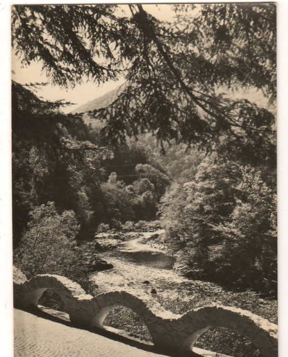 CPI B 10434 CARTE POSTALA - BAILE HERCULANE. CERNA LA IESIREA DIN STATIUNE, RPR