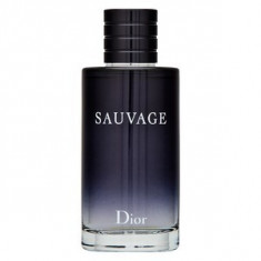 Dior (Christian Dior) Sauvage Eau de Toilette pentru barbati 200 ml foto