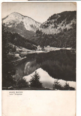 CPI B 10442 CARTE POSTALA - MUNTII BUCEGI. LACUL SCROPOASA, RPR foto