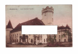 CP Carei - Castelul, 1910-18, circulata, Printata, Satu Mare