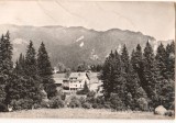 CPI B 10482 CARTE POSTALA - TIMISUL DE SUS - VEDERE DE PE PIATRA MARE, RPR, Circulata, Fotografie