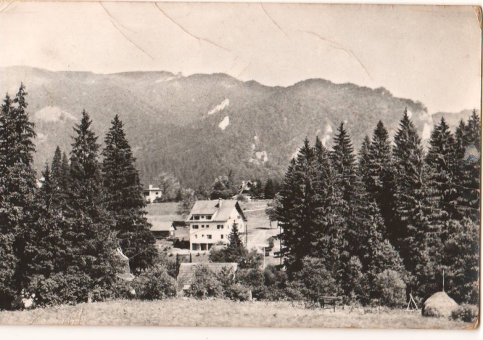 CPI B 10482 CARTE POSTALA - TIMISUL DE SUS - VEDERE DE PE PIATRA MARE, RPR