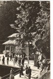 CPI B 10458 CARTE POSTALA - SLANIC MOLDOVA. IZVOARELE DE APE MINERALE, Circulata, Fotografie