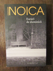 ESEURI DE DUMINICA -CONSTANTIN NOICA foto