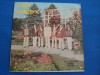 MUZICA POPULARA SARBEASCA /VOCE LAZA CNEZEVIC, VINIL, Electrecord