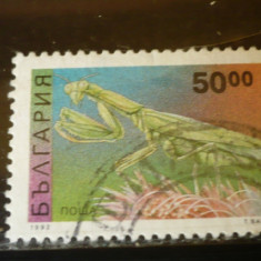 BULGARIA 1992 – INSECTA MANTIS RELIGIOSA, timbru stampilat, PT7