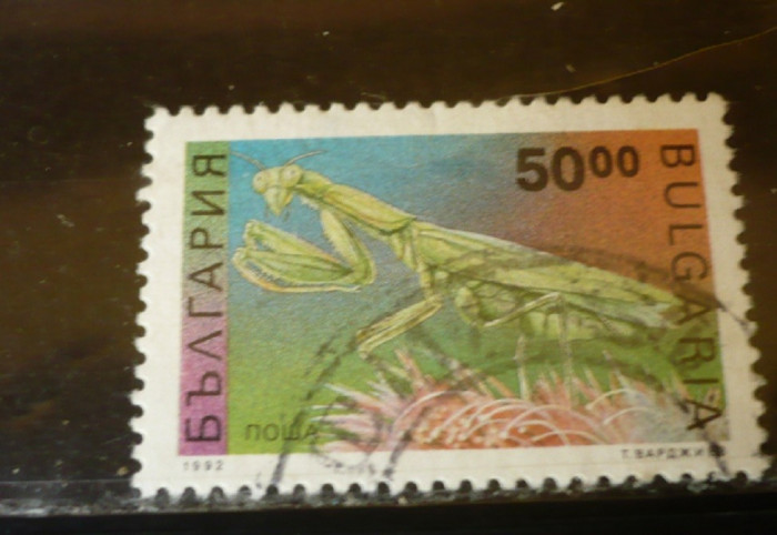 BULGARIA 1992 &ndash; INSECTA MANTIS RELIGIOSA, timbru stampilat, PT7